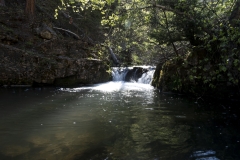 waterfall_trees